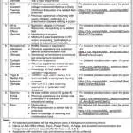 The Renaissance Education System company logo