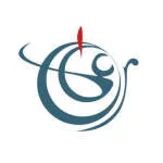 AALA IT Solutions company logo