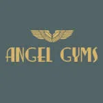 Angel Gyms company logo