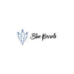 Bluekarrots company logo