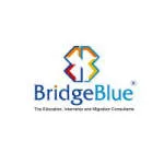BridgeBlue Pakistan company logo