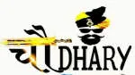 Chaudhary dsdafsdf company logo