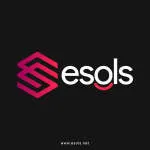 Esols Ecommerce Solution company logo