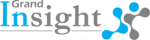 Grand Insight company logo