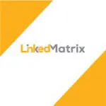 Linked Matrix company logo