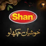 Shan Paper Board company logo