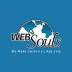 Websouls company logo