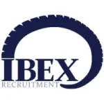 talent ibex company logo