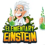 Design Einstien company logo