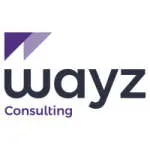 Wayz Consulting company logo