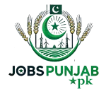 iVisionWeb job location Lahore Punjab society,... company logo