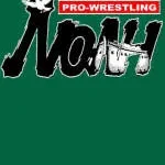 Noah Pro Max company logo