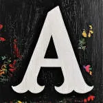 A.A Solutions company logo