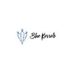 BlueKarrots company logo