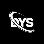 Dys Solutions Pvt Ltd company logo