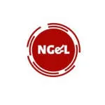 Naz logistics company logo