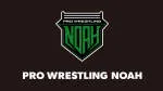 Noah Pro Max company logo