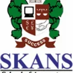 Skans School of Accountancy company logo