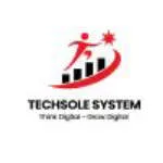 Techsole System company logo