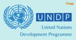 United Nations Development Programme (UNDP) company logo