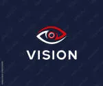 Vision Management company logo