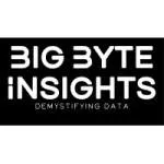 Big Byte Insights company logo