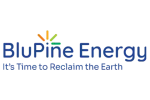 Bluepine Group of Companies company logo