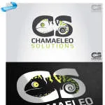 Chameleon Ideas Inc. company logo
