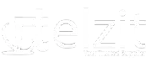 Elzit company logo