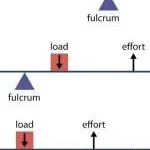 Fulcrum Pvt Ltd company logo