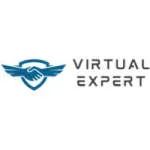 Hire Virtual Experts company logo