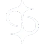 Silver Star Group company logo