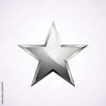 Silver Star Ortho company logo