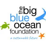 Blue Ocean Foundation company logo