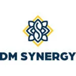 DM Synergies company logo