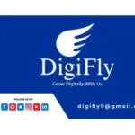 Digi Fly Experts company logo