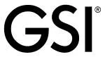GSI company logo