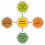 HR World International (Pvt. Ltd) company logo