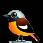 T F G Solution company logo