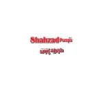 SHAHZAD Pumps, Faisalabad company logo