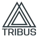 iTribe Solutions company logo