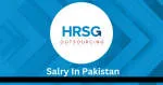 HRSG Outsourcing Pvt. Ltd. company logo