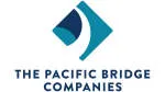 Pakibridge consultancy company logo