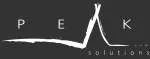 Peak Solutions IT Training Institute company logo