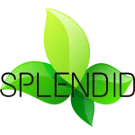 Splendid Systems company logo