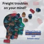 ABS SHIPPING & LOGISTICS PVT LTD company logo