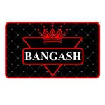 Bangash Holding company logo