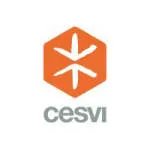 Cesvi Pakistan company logo