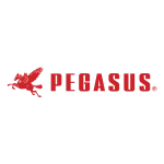 Pegasus Enterprises company logo
