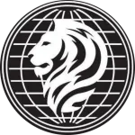 Ravon pvt Limited company logo